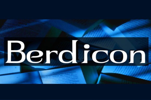 Berdicon: The Bold Display Font for High-Impact Campaigns