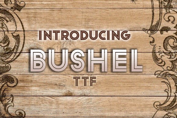 Bushel: The Retro Display Font for High-Impact Campaigns